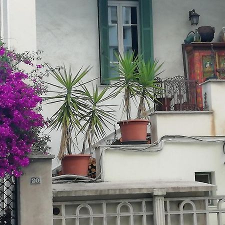 Villa Cecile Ajaccio  Exteriér fotografie