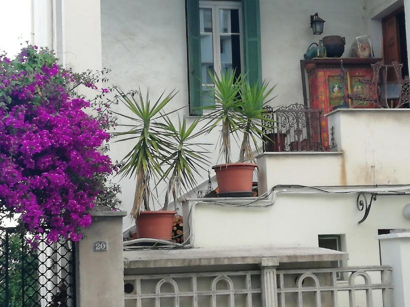 Villa Cecile Ajaccio  Exteriér fotografie